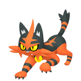 6IV Torracat Indigo Disk Pokemon Scarlet and Violet